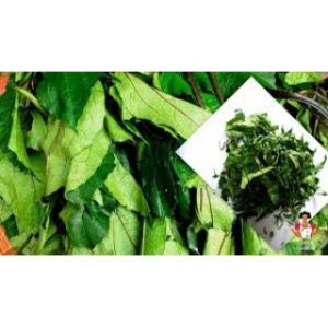 Ugwu leaves