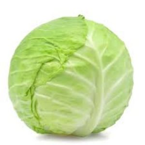 Cabbage - Green
