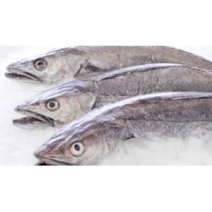 Frozen  Panla 1kg