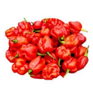 Rodo Pepper