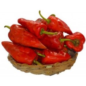 Tatashe (Red Ball Pepper)
