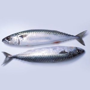 Frozen  Titus Fish 1kg